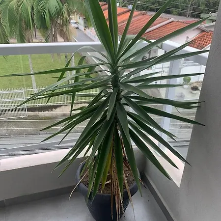 Aconchego Do Vale Apartment Blumenau Room photo